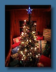 16 Hokulea Christmas Tree 2